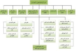 ساختار تشکیلاتی