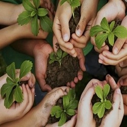 همیار طبیعت**9409**نفر