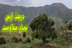 ارس طارم-استان زنجان