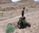 آزادسازی بیش از ۳۰ هکتار از اراضی ملی طارم