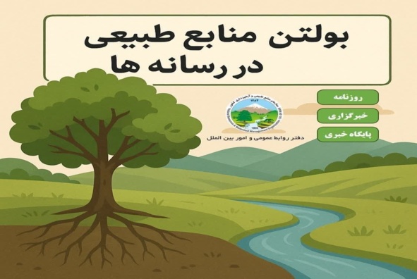 مناقصه