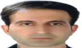 بیش از 200 هزار اصله نهال در سطح استان زنجان توزیع می شود