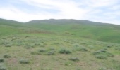 ۷۵ درصد مراتع استان زنجان دارای ارزش زیست‌ محیطی است