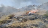 ته سیگاری که آتش به جان مراتع زد