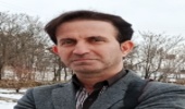 اتمام عملیات توسعه و غنی سازی جنگل های استان زنجان