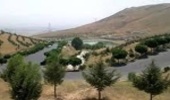 "پاسگاه ویژه منابع طبیعی" برای حفاظت از اراضی منطقه گاوازنگ تاسیس میشود