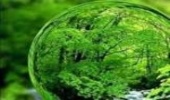 سامانه استعلام اراضی منابع طبیعی در زنجان الکترونیکی شد.