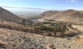 جنگل یعنی نفس یعنی زندگی