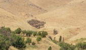 مراتع  روستای کونیک  بار دیگر طعمه حریق شد