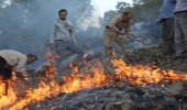 کشیک های اطفاء حریق منابع طبیعی ازامروز 24 ساعته شد