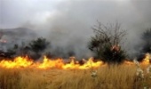 گرمای هوا و احتمال آتش سوزی در مناطق بحرانی شهرستان زنجان 