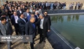 بازدید از طرح توسعه باغات زیتون در اراضی شیب‌دار