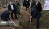 فضای سبز شهر زنجان بیش از میانگین کشوری است