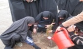30 نهال در محوطه ساختمان جدید حوزه علمیه برادران قیدار غرس شد