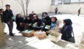 پیگیری اعزام سفیران انفال به مناطق بحرانی و هدف استان زنجان توسط منابع طبیعی
