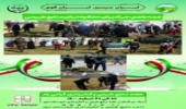 ابهریها با کاشت درخت روز درختکاری را گرامی داشتند