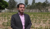 سرانه جنگل در استان زنجان پایین است
