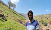 چمن تاریخی سلطانیه با کود پاشی احیا می‌شود
