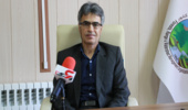 وضعیت چمنزار سلطانیه قابل قبول نیست