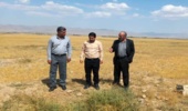 وضعیت چمن سلطانیه شبانه‌روزی پایش می‌شود/اقدامات صورت گرفته در راستای احیا چمن موثر بودند