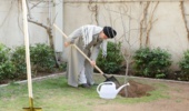 فضای سبز زنجان افزایش یافته است 