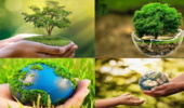 محیط زیست سالم با مشارکت مردم تحقق مییابد