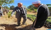 کاشت نهال به مناسبت بزرگداشت روز سرباز