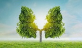 روزی برای کاشت امید در دل طبیعت