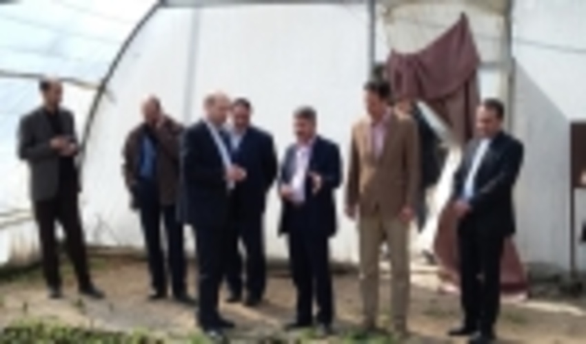 نهالستان کوشکن زنجان بزرگترین نهالستان مادری غرب کشور 