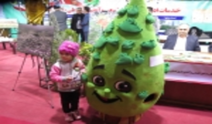 بازدید مدیر کل محترم میراث فرهنگی و گردشگری استان زنجان از غرفه اداره کل منابع طبیعی و آبخیزداری و مشارکت در  " ایستگاه هنر همیار طبیعت" 