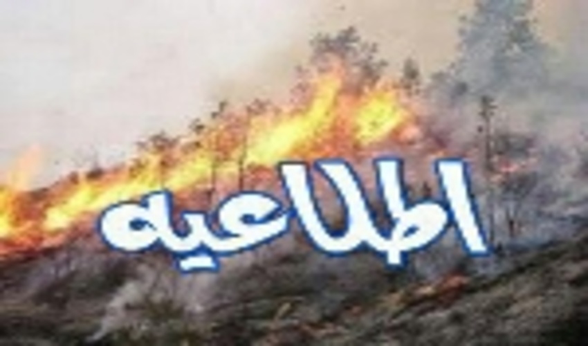 با گرم شدن هوا مراقب جنگل ها و مراتع سرسبزمان باشیم