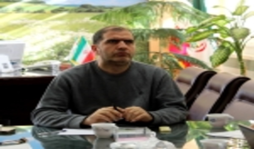 پیشرفت 52 درصدی پروژه های اداره کل منابع طبیعی و آبخیزداری استان زنجان