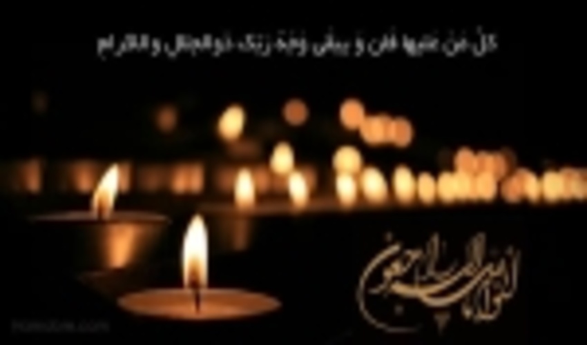 مدیر کل منابع طبیعی و آبخیزداری استان زنجان در پیامی حادثه جانکاه از دست دادن چهار نفر از فعالان مردمی محیط زیست استان کردستان را تسلیت گفت؛