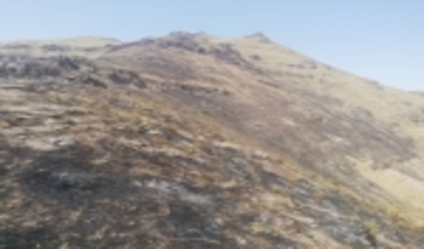 رئیس اداره منابع طبیعی و آبخیزداری شهرستان سلطانیه از آتش سوزی در مراتع روستاهای چمرود و ترکانده خبر داد.