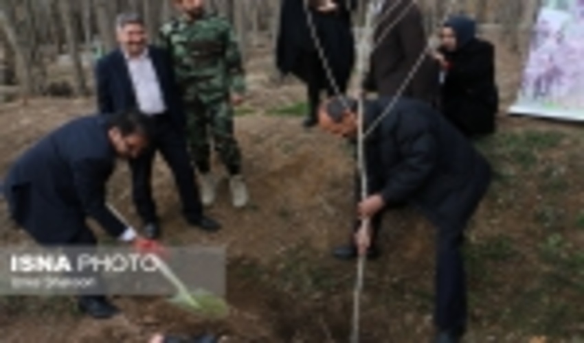 فضای سبز شهر زنجان بیش از میانگین کشوری است
