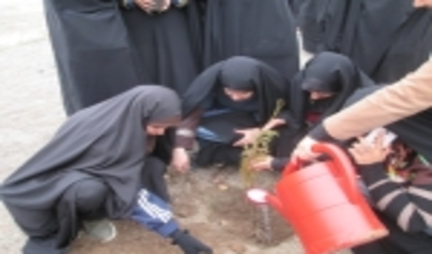 30 نهال در محوطه ساختمان جدید حوزه علمیه برادران قیدار غرس شد