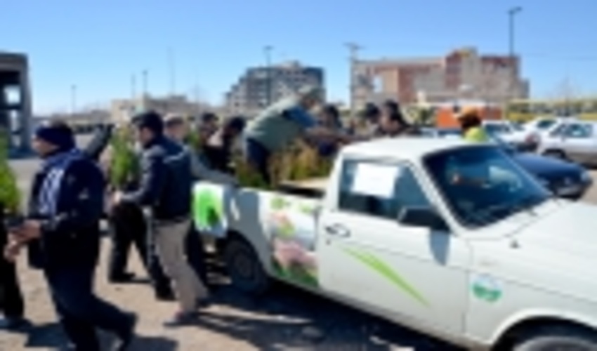  ثبت درخواست‌های متقاضیان جهت توزیع نهال در زنجان از ابتدای اسفندماه 96/ امسال؛ 300 هزار اصله نهال در سراسر استان زنجان توزیع می شود