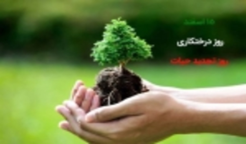 سهم شما یک نهال 