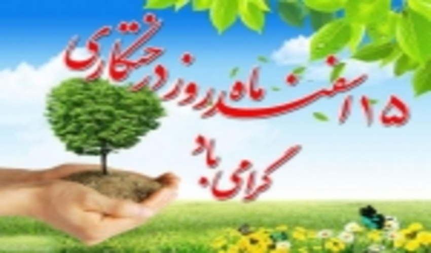 توزیع بیش از 200 هزار اصله نهال در هفته منابع طبیعی 