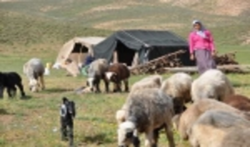 لزوم توجه به نقش عشایر در حفظ منابع طبیعی