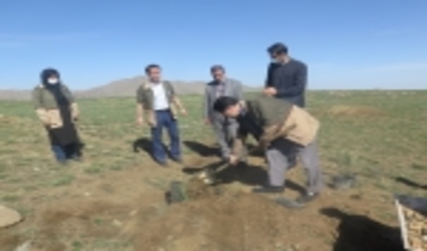 حضور خیّران در توسعه جنگل حائز اهمیت است