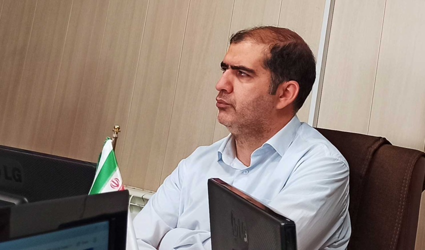 دپوهای خرید چوب زنجان نیازمند ساماندهی