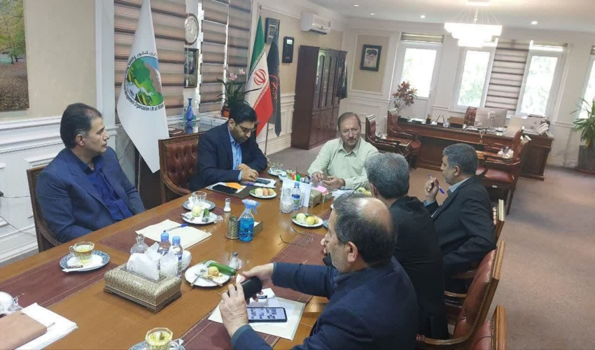 اینفوگرافی جنگل کاری حفاظتی و طرح توسعه جنگل 