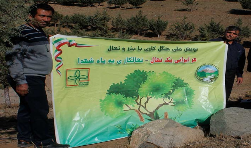 150 اصله نهال در پارک آبخیز گاوازنگ کاشته شد.