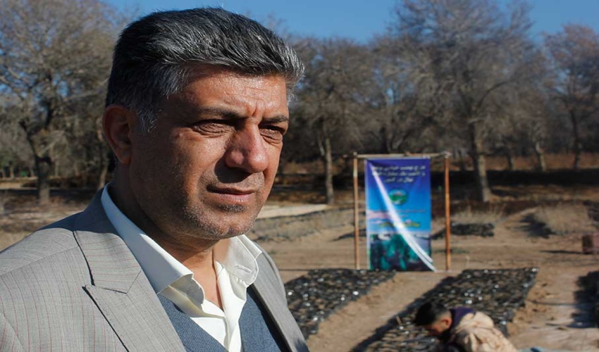 700 هزار اصله انواع نهال جنگلی و فضای سبز در نهالستان کوشکن زنجان موجود است