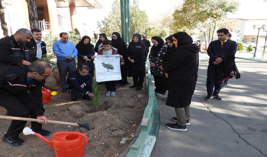 مشارکت ورزشکاران زنجانی در طرح مردمی کاشت نهال