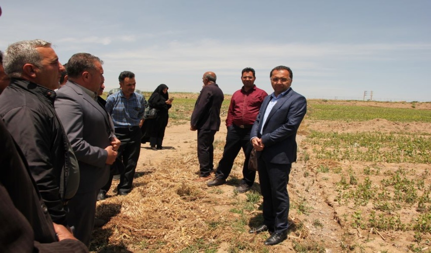 لزوم همکاری دامداران برای حفظ مراتع 